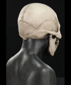 "Skull Hood" Silicone Mask -The Horror Dome Store skull hood silicone halloween mask 20360422977