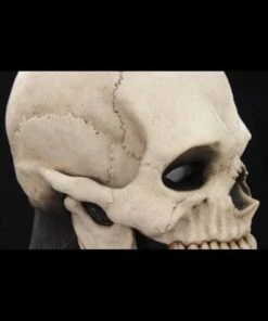 "Skull Hood" Silicone Mask -The Horror Dome Store skull hood silicone halloween mask 20360423169