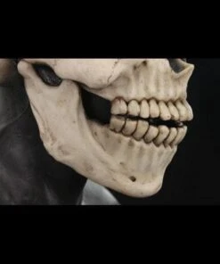 "Skull Hood" Silicone Mask -The Horror Dome Store skull hood silicone halloween mask 20360423297