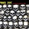 "Skull Wall Panel" Haunted House Facade -The Horror Dome Store skull wall panel haunted house facade 8179913217