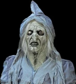 "Swamp Hag" HD Studios Costume 12 "Swamp Hag" HD Studios Costume -The Horror Dome Store swamp hag hd studios costume 30783282249776