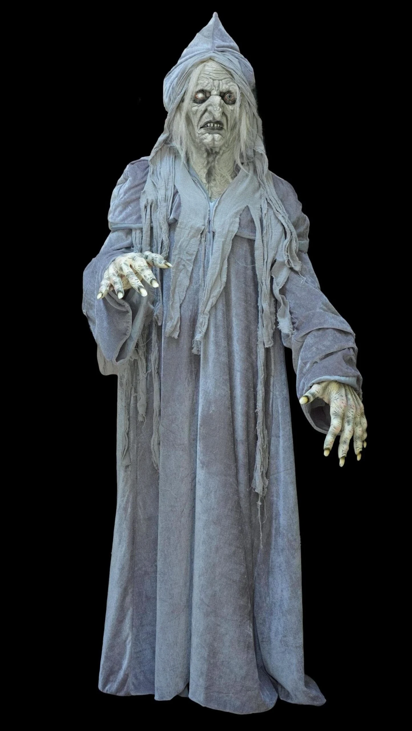"Swamp Hag" HD Studios Costume 3 "Swamp Hag" HD Studios Costume