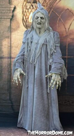 "Swamp Hag" HD Studios Costume 10 "Swamp Hag" HD Studios Costume -The Horror Dome Store swamp hag hd studios costume 30783337562160