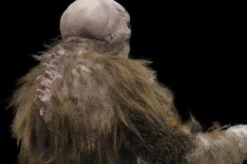 "The Hobgoblin" HD Studios Pro Costume -The Horror Dome Store the hobgoblin hd studios pro halloween costume 8721737217