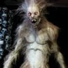 "The Werewolf" Professional Halloween Prop -The Horror Dome Store the werewolf professional halloween prop 21028688001