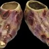 "Undead Zombie" Halloween Costume Feet -The Horror Dome Store undead zombie halloween costume feet 14160895148080