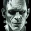 "Universal Studios Frankenstein" Mask -The Horror Dome Store universal studios frankenstein halloween mask 8179988225