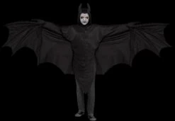 "Wicked Wing Bat" Costume (Adult)
