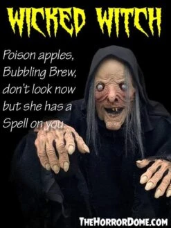 "Wicked Witch" HD Comfort Costume -The Horror Dome Store wicked witch hd studios comfort fit halloween costume 14335789858864