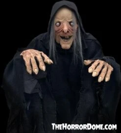 "Wicked Witch" HD Comfort Costume -The Horror Dome Store wicked witch hd studios comfort fit halloween costume 14335880822832