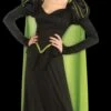 "Wicked Witch Of The West" Costume (Adult) -The Horror Dome Store wicked witch of the west women s halloween costume adult 28426752950320