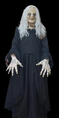 "Witchy Woman" HD Studios Costume