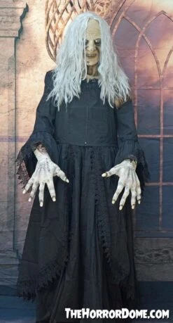 "Witchy Woman" HD Studios Costume -The Horror Dome Store witchy woman hd studios halloween costume 28885599977520