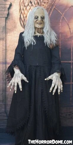 "Witchy Woman" HD Studios Costume -The Horror Dome Store witchy woman hd studios halloween costume 28885601943600