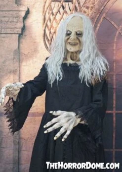"Witchy Woman" HD Studios Costume -The Horror Dome Store witchy woman hd studios halloween costume 28885602369584