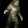 "Wolf Man" Professional Costume -The Horror Dome Store wolf man professional halloween costume 14480197287984