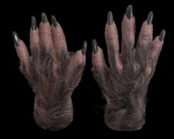 "Wolfman" HD Studios Mask And Hand Combo -The Horror Dome Store wolfman mask and hand combo hd studios 28867870556208