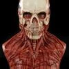 "Yorick Bloody Skull" Silicone Mask -The Horror Dome Store yorick bloody skull silicone halloween mask 14160015818800