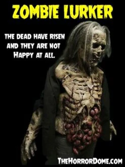 "Zombies" HD Studios Pro Costumes - 3x Package Deal -The Horror Dome Store zombies hd studios pro halloween costumes 3x package deal 14334963154992