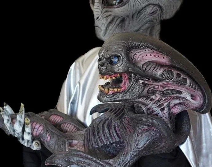 The Horror Dome Store -The Horror Dome Store alien xenomorph puppet hd studios halloween prop 14920384610352 768x587 1 e1757325262984