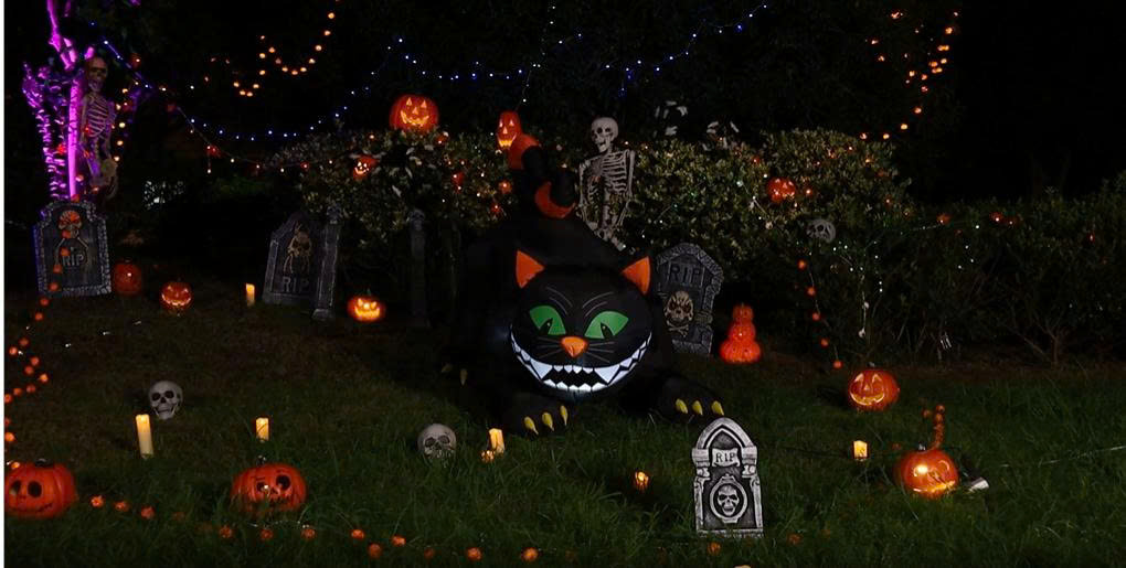 The Horror Dome Store -The Horror Dome Store z6989990674240 f6ed677e71f8d26f5314e89dfafee1ad